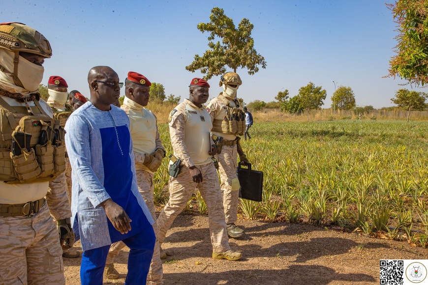 Burkina : le chef de l’État visite un champ d’ananas en expérimentation Burkina : le chef de l’État visite un champ d’ananas en expérimentation