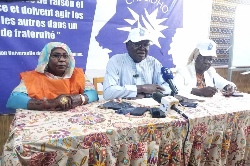 Tchad : la CASCIDHO satisfaite du déroulement des élections du 29 décembre 2024 Tchad : la CASCIDHO satisfaite du déroulement des élections du 29 décembre 2024