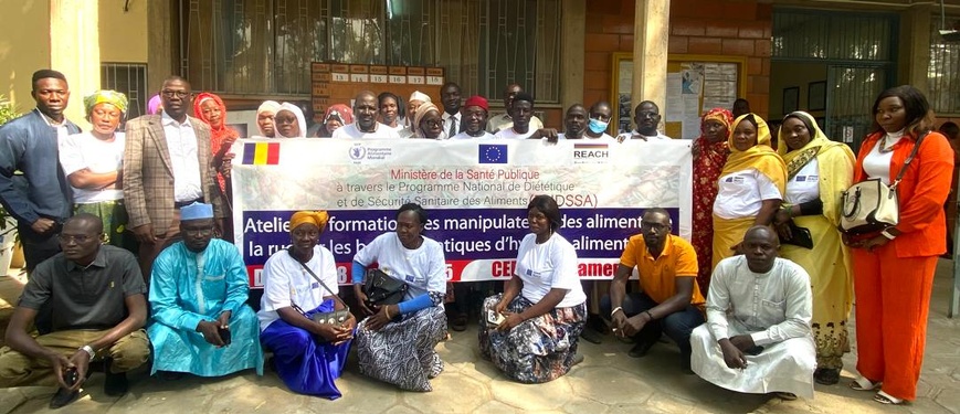Tchad : Le ministère de la Santé forme les vendeurs de rue aux bonnes pratiques d'hygiène Tchad : Le ministère de la Santé forme les vendeurs de rue aux bonnes pratiques d'hygiène