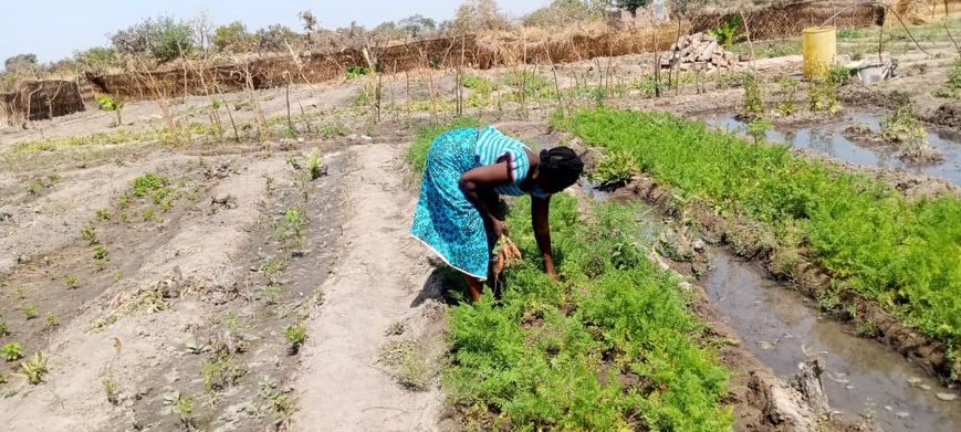 Tchad : une trentenaire se lance dans l’entrepreneuriat agricole Tchad : une trentenaire se lance dans l’entrepreneuriat agricole