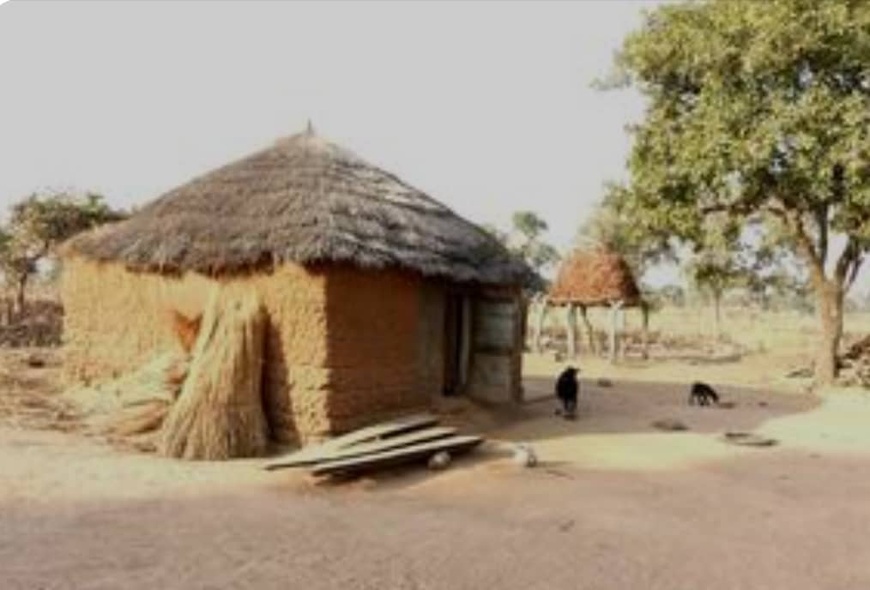 Tchad : Le conflit agriculteurs-éleveurs fait rage à Agana, bilan lourd Tchad : Le conflit agriculteurs-éleveurs fait rage à Agana, bilan lourd