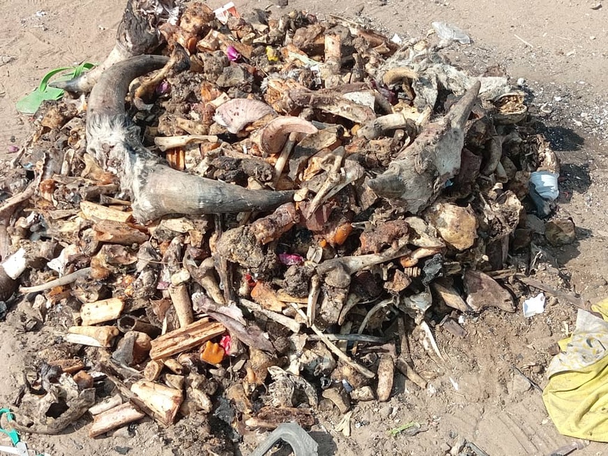 Tchad : à N’Djamena, l'os déjà utilisé, un déchet précieux Tchad : à N’Djamena, l'os déjà utilisé, un déchet précieux