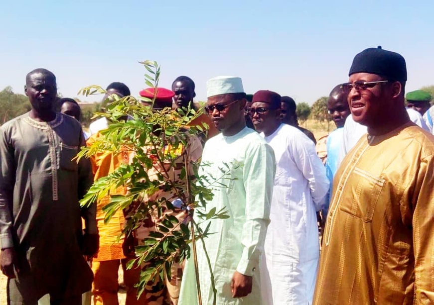 Le ministre de l'Environnement au chevet de la forêt de Toukra : un engagement fort pour la lutte contre la désertification Le ministre de l'Environnement au chevet de la forêt de Toukra : un engagement fort pour la lutte contre la désertification