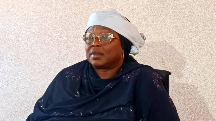 Tchad : une séance de travail sur la revue annuelle des activités sanitaires de N’Djamena Tchad : une séance de travail sur la revue annuelle des activités sanitaires de N’Djamena