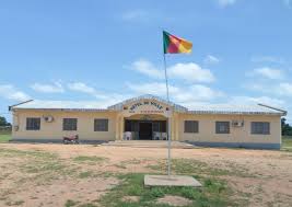 Cameroun : Touroua célèbre l'arrivée d'un point d'eau salvateur, un espoir face aux maladies hydriques