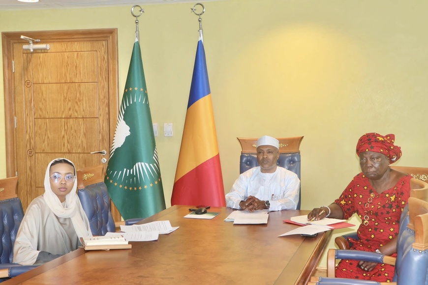 Coopération internationale : Le Tchad présent à la session ministérielle de l'OEACP par visioconférence Coopération internationale : Le Tchad présent à la session ministérielle de l'OEACP par visioconférence