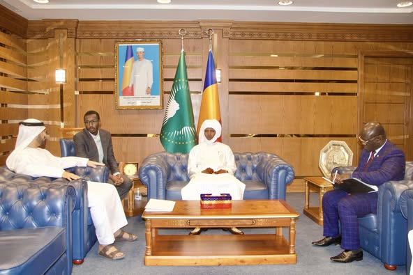 artenariat Tchad-Émirats Arabes Unis : Discussion sur les opportunités de coopération
