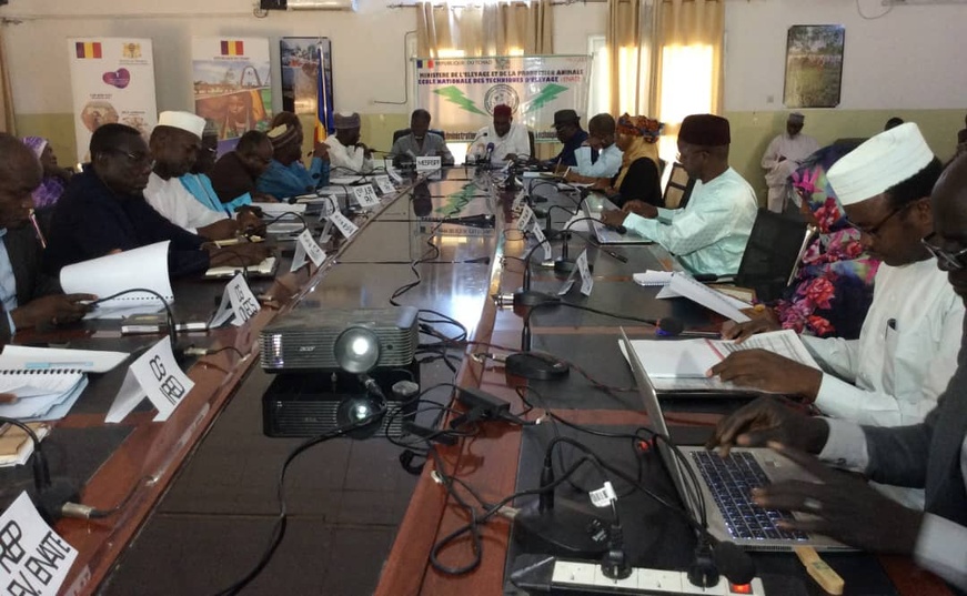 Bilan et perspectives de l'ENATE pour 2025 : Dynamiser la formation en élevage au Tchad