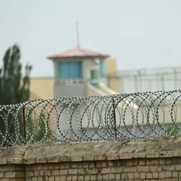 Image : Little Think Tank