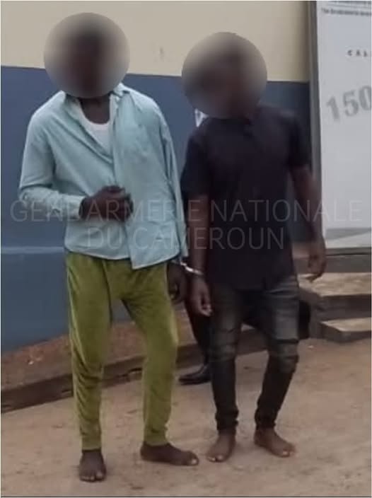 Cameroun - Lutte contre le trafic d'êtres humains : la gendarmerie nationale libère treize jeunes malgaches à Yaoundé