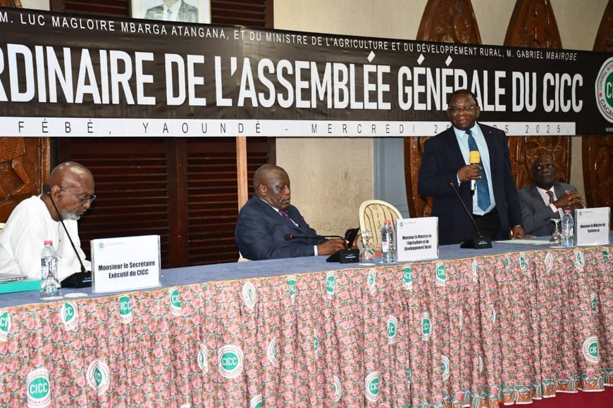 Cameroun : dans la filière cacao-café, le pays ambitionne de se maintenir au sommet de la pyramide