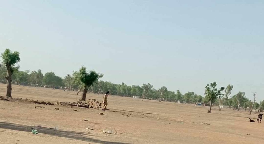 Tchad : la gestion des forêts est un défi difficile à relever