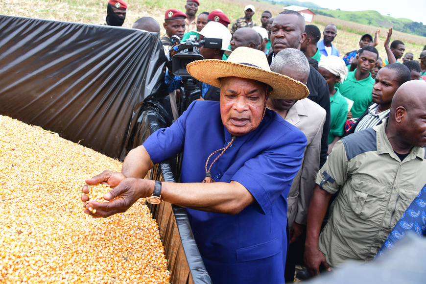 Denis Sassou N'Guesso touchant du doigt le mais récolté Denis Sassou N'Guesso touchant du doigt le mais récolté