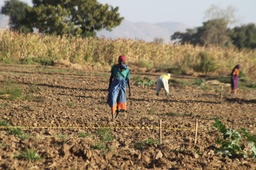 alwihda info alwihda info