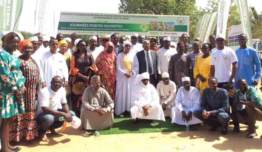 Tchad : L’ITRAD ouvre ses portes pour renforcer la productivité agricole face au changement climatique Tchad : L’ITRAD ouvre ses portes pour renforcer la productivité agricole face au changement climatique