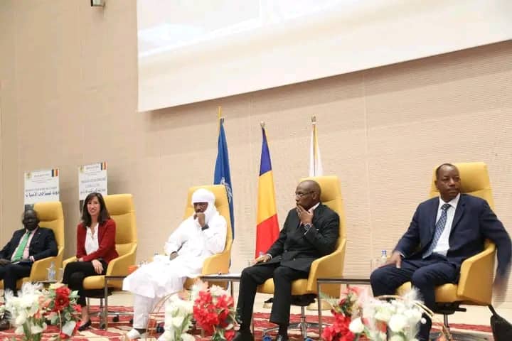 : Clôture de la 28e réunion internationale sur l’éradication du ver de Guinée : Le Tchad réaffirme son engagement
