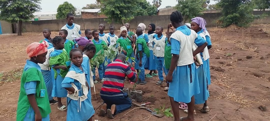 Tchad : Formation des élèves de l'École Catholique Associée de Bébédjia sur la pépinière