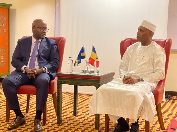 Tchad/Rwanda : Entretien entre le Ministre d'État et son homologue Rwandais à Antalya