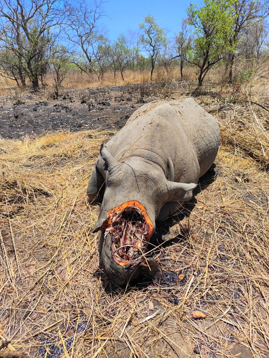 Tchad : Conflit homme-faune dans la Tandjilé : Mission du Ministre de l'Environnement
