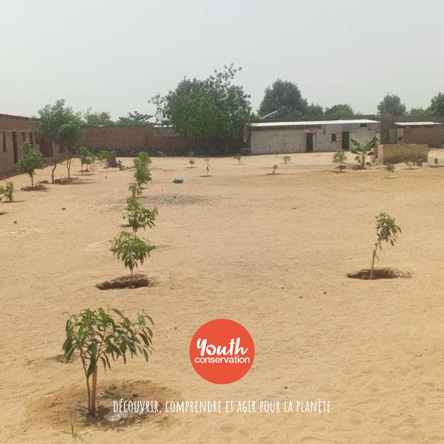 Images : Youth Conservation