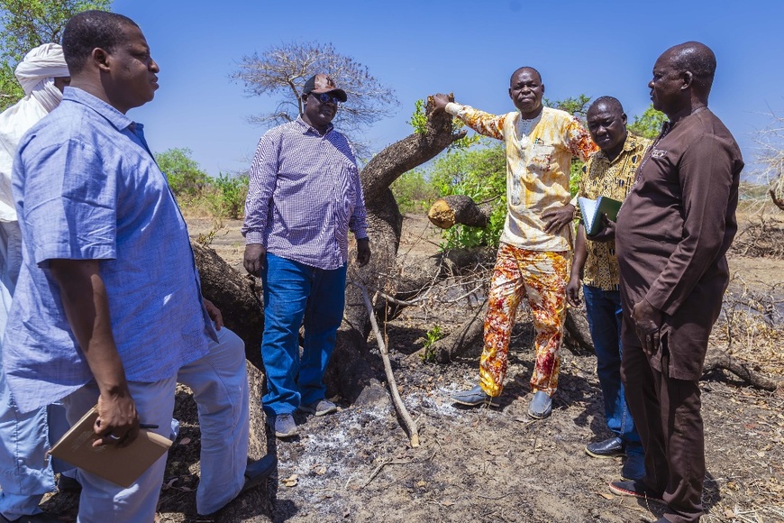 Tchad : Destruction massive d'arbres sur le site pétrolier de Cécilia - Le Ministère de l'Environnement saisit la justice Tchad : Destruction massive d'arbres sur le site pétrolier de Cécilia - Le Ministère de l'Environnement saisit la justice