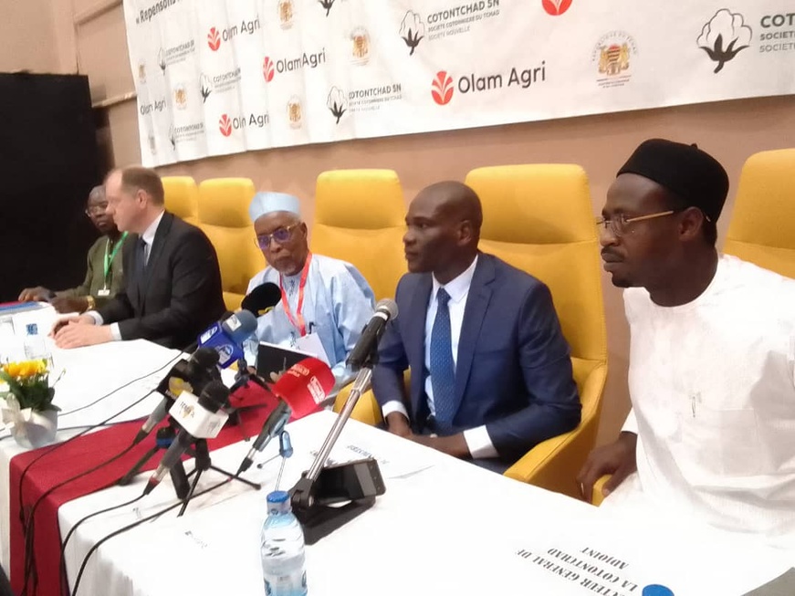 Tchad : la filière coton au cœur d’une réflexion nationale pour sa relance et sa modernisation