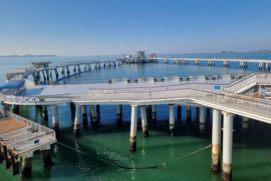 Shandong, Chine : "Genghai N°1", une plate-forme marine intelligente fusionnant aquaculture et tourisme Shandong, Chine : "Genghai N°1", une plate-forme marine intelligente fusionnant aquaculture et tourisme