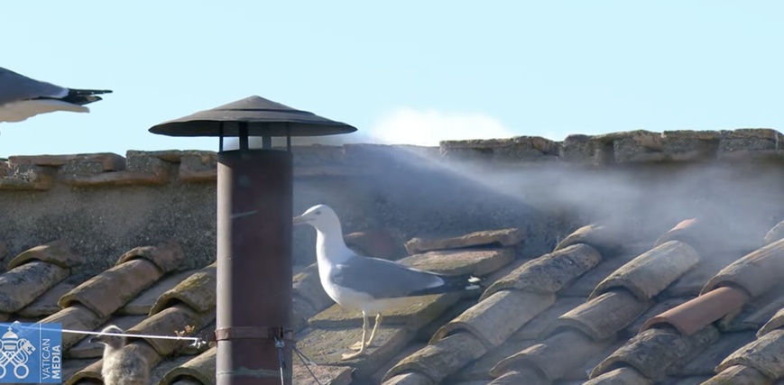 Image : Vatican news Image : Vatican news