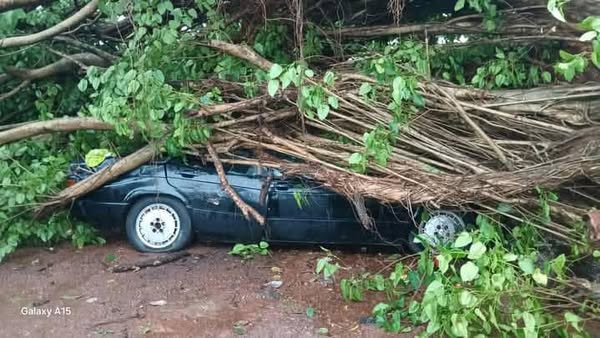 Images et Info : AGP Guinée