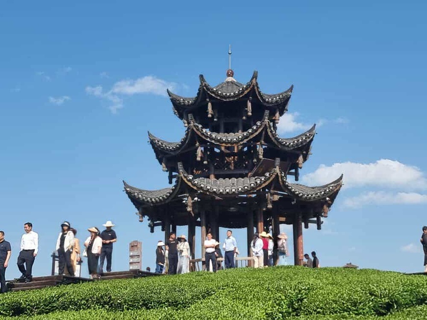 Hubei : au goût doux et à la liqueur vert cristal, le thé du tribut de Wujia Tai, un chef-d'œuvre millénaire Hubei : au goût doux et à la liqueur vert cristal, le thé du tribut de Wujia Tai, un chef-d'œuvre millénaire