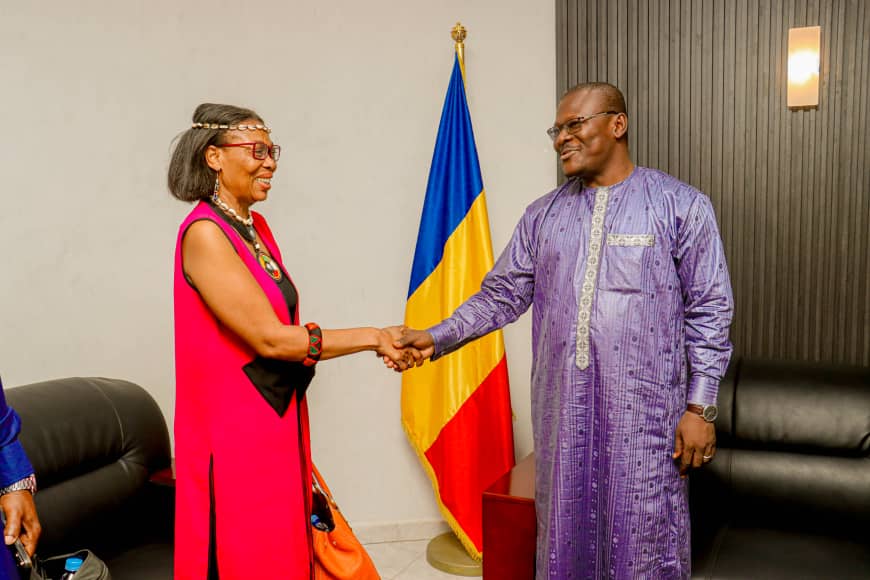 Tchad : La CNDH s'entretient avec la Directrice Exécutive de la REDHAC