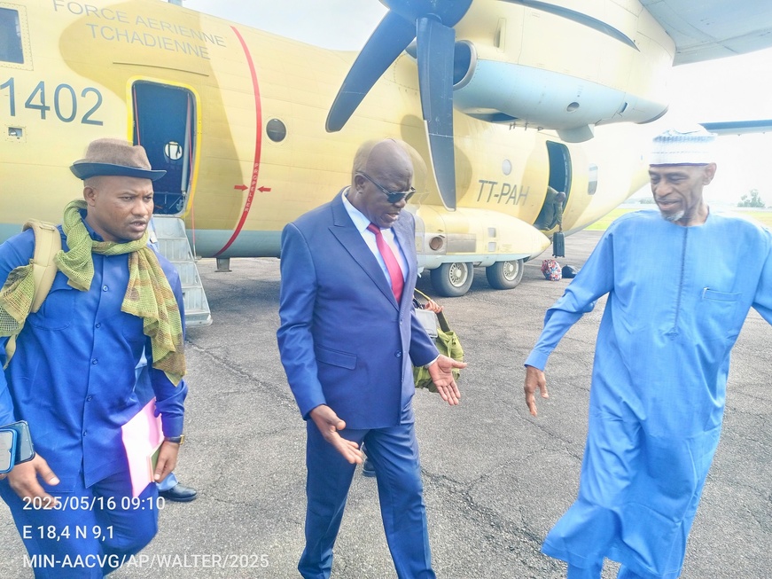 CEEAC : Participation du Tchad à la Session Ordinaire du CTSDSS à Libreville CEEAC : Participation du Tchad à la Session Ordinaire du CTSDSS à Libreville