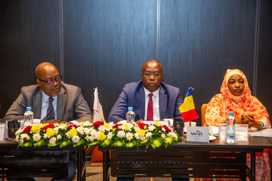 Tchad/Cameroun : Participation du Tchad au Conseil d'Administration de COTCO à Douala