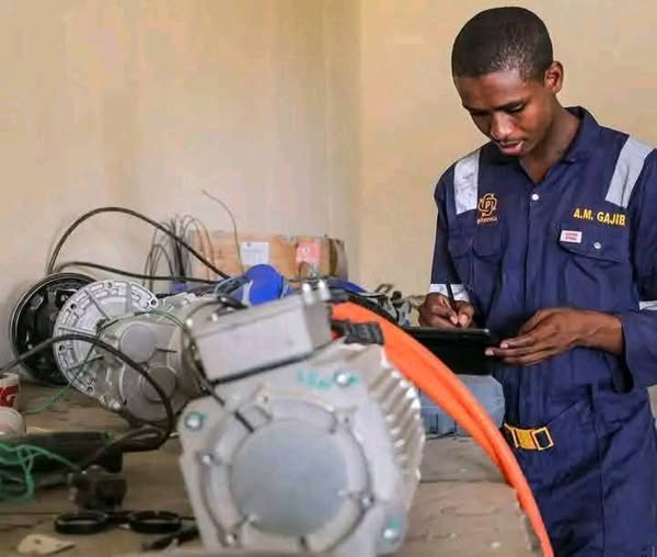 Nigeria : Innovation nigériane - Mustapha Abubakar Gajibo et ses bus électriques locaux