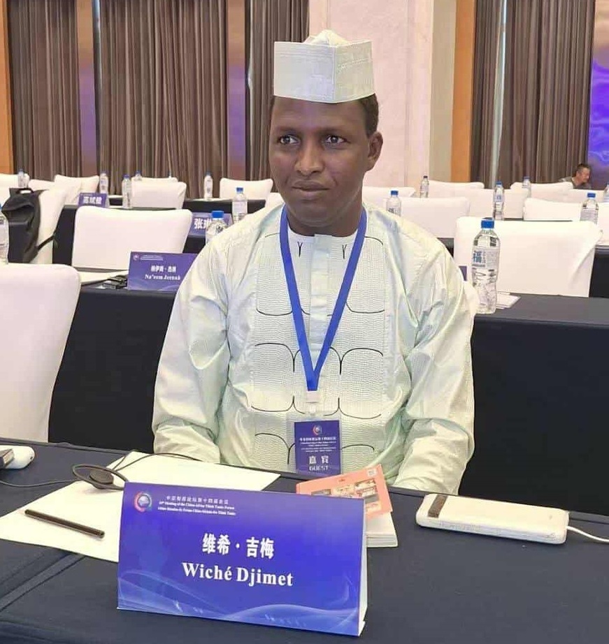 Tchad : des chercheurs chinois et africains échangent sur la gouvernance et la modernisation