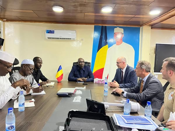 Le Tchad et la Hongrie renforcent leur coopération dans le secteur de l'élevage