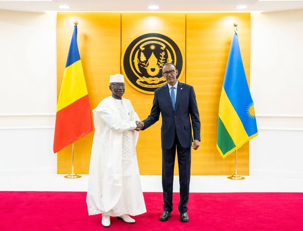 Tchad/Rwanda : L'ambassadeur du Tchad a présenté ses lettres de créance