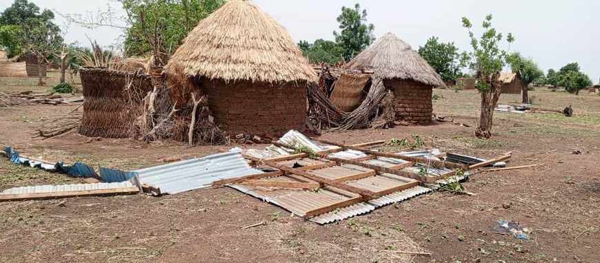 Tchad : Un éléphant en divagation et une tornade dévastent Kassélem Centre Tchad : Un éléphant en divagation et une tornade dévastent Kassélem Centre