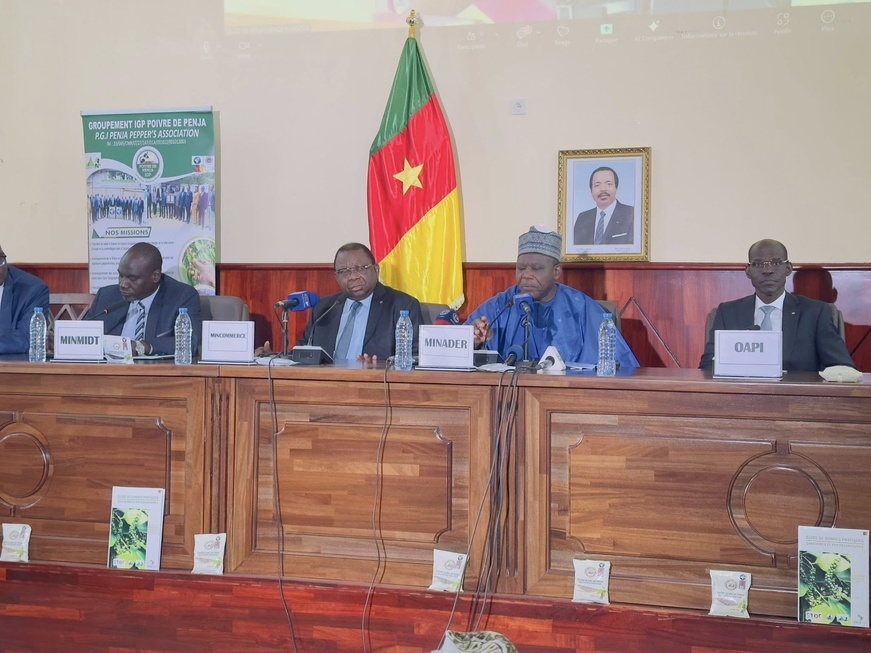 Cameroun : le pays prépare le premier Festival international du poivre de Penja Cameroun : le pays prépare le premier Festival international du poivre de Penja