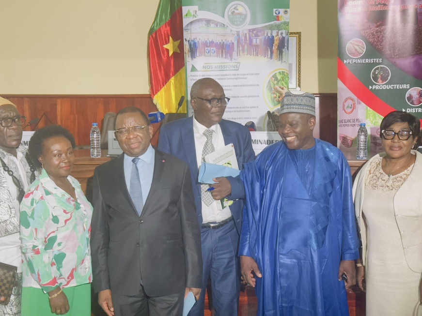 Cameroun : le pays prépare le premier Festival international du poivre de Penja Cameroun : le pays prépare le premier Festival international du poivre de Penja