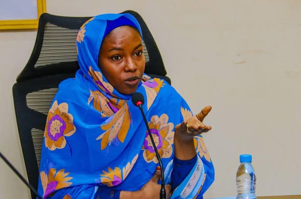 Tchad : Les recettes des Transports de Surface atteignent 85% en cinq mois