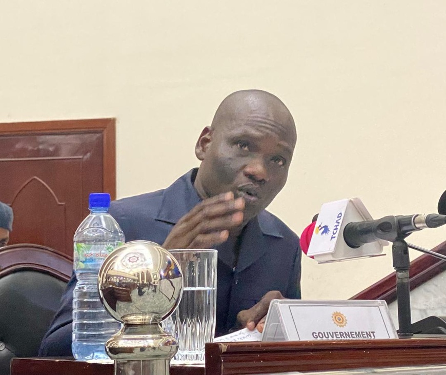 Tchad : La dissolution de la STEE approuvée par l'Assemblée Nationale
