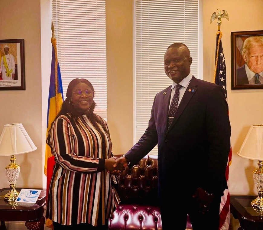 Audience : le représentant du CESCE en Amérique du Nord reçu par l’ambassadrice Léonie Kitoko Gata Ngoulou