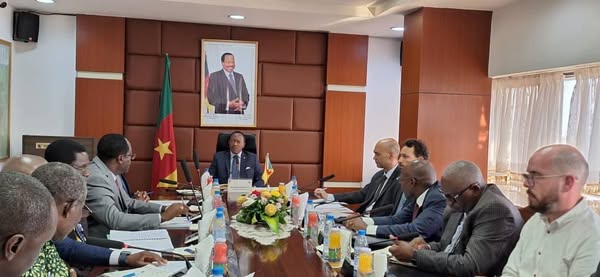 Cameroun/Tchad : Aménagements socio-économiques du Pont sur le Logone en pleine accélération