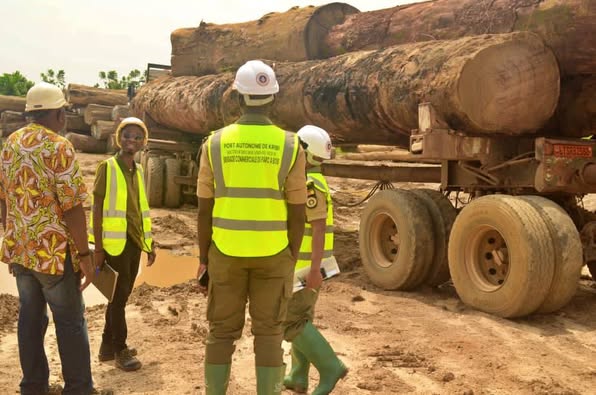 Cameroun : 10 000 billes de bois saisies par la Douane à Kribi