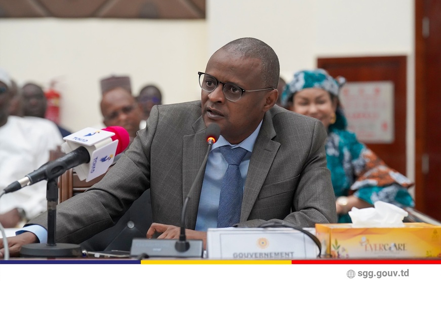 Tchad : ratification de la convention fiscale entre le Tchad et les Emirats arabes unis Tchad : ratification de la convention fiscale entre le Tchad et les Emirats arabes unis