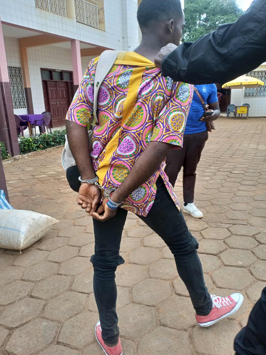 Cameroun : trois trafiquants devant le tribunal pour commerce illégal d'écailles de pangolins à Ntui Cameroun : trois trafiquants devant le tribunal pour commerce illégal d'écailles de pangolins à Ntui