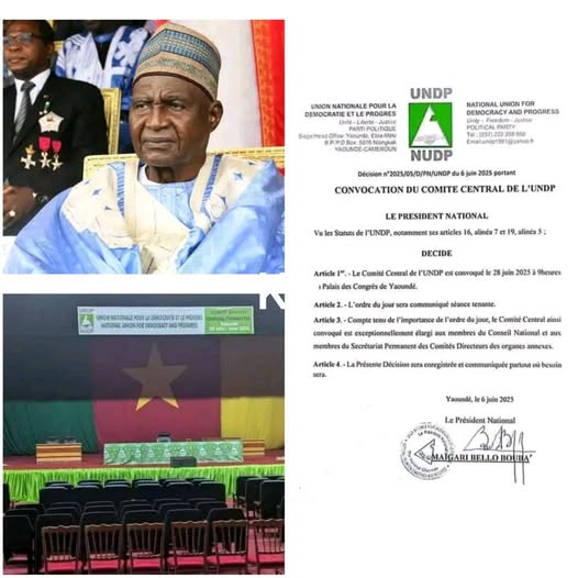 Cameroun : Des figures de l'opposition attendues ce samedi à la réunion de l'UNDP pour une annonce majeure