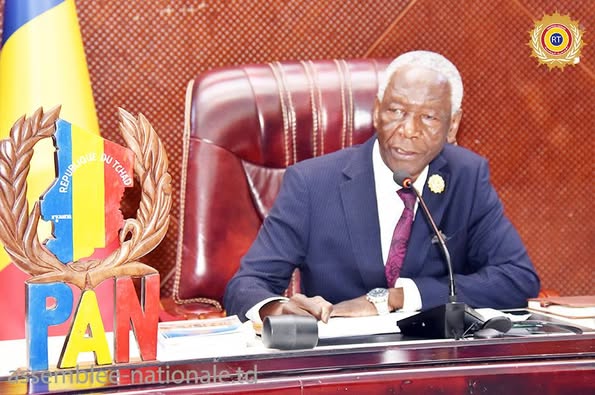 Tchad : L'Assemblée Nationale examine un projet de loi d'habilitation du gouvernement