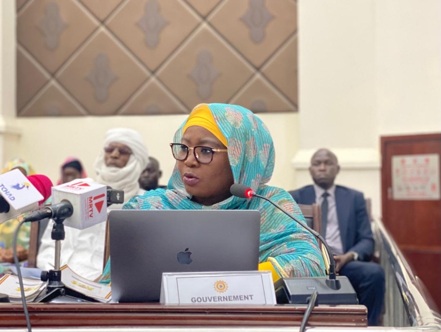 Tchad : Le gouvernement habilité à légiférer par ordonnances durant la trêve parlementaire Tchad : Le gouvernement habilité à légiférer par ordonnances durant la trêve parlementaire